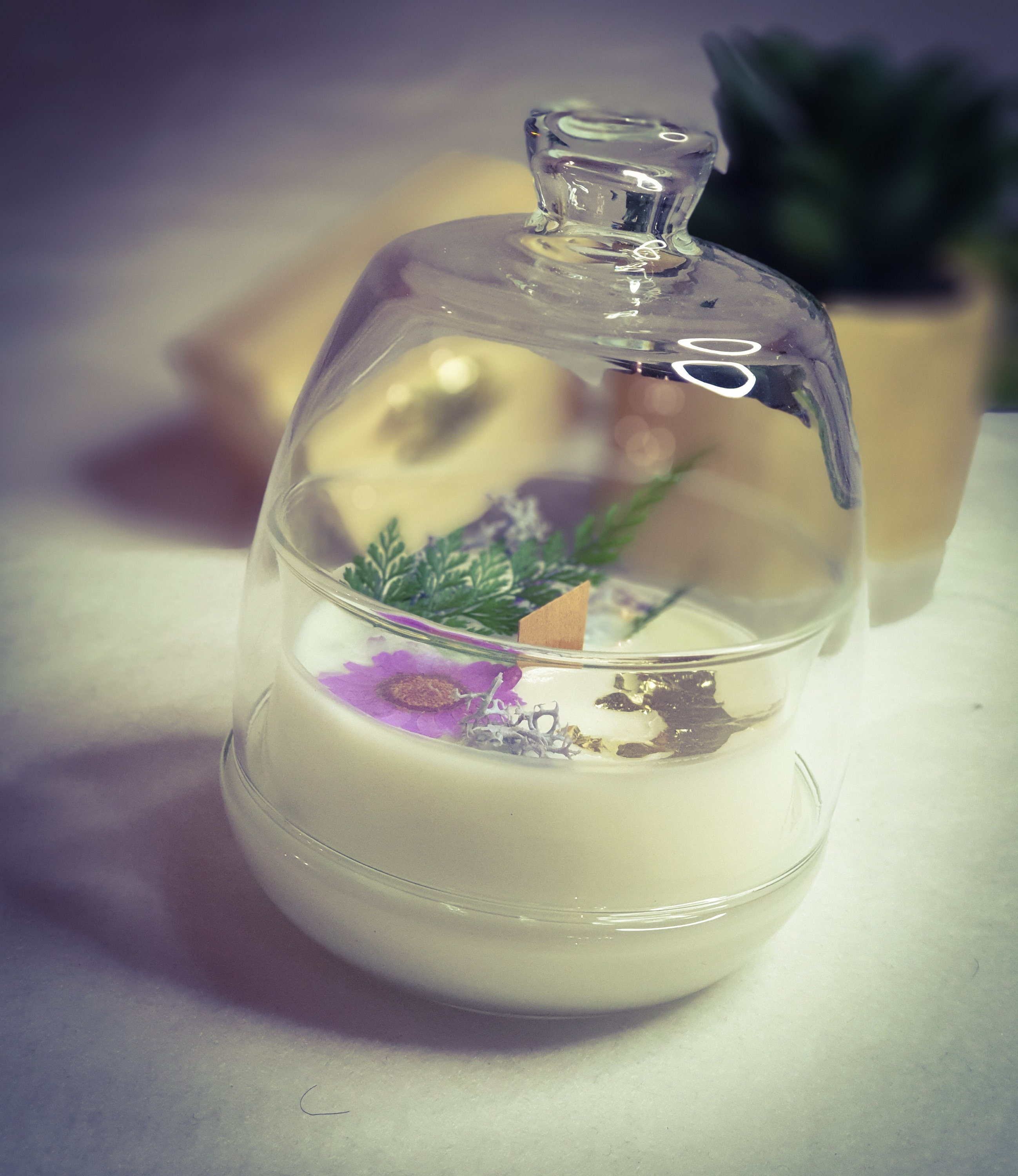 Bougie Parfumé Naturelle Douceur de Figue, Cire Soja, Bonbonnière