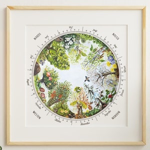 Baumkalender Poster, Jahreskreis des Waldes, keltischer Baumkreis, Geschenk Wald, Aquarellbild Baum quadratisch, 24 x 24 cm