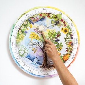 May include: A colorful, circular seasons chart with a wooden pointer. The chart features illustrations of seasonal changes, including flowers, fruits, and a snowman. The pointer is held by a person's hand, indicating the current season.