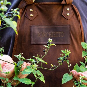 May include: A person wearing a brown leather apron with the word "Ronchietto" embossed on it. The person is holding a branch of a plant with small green leaves and black berries.