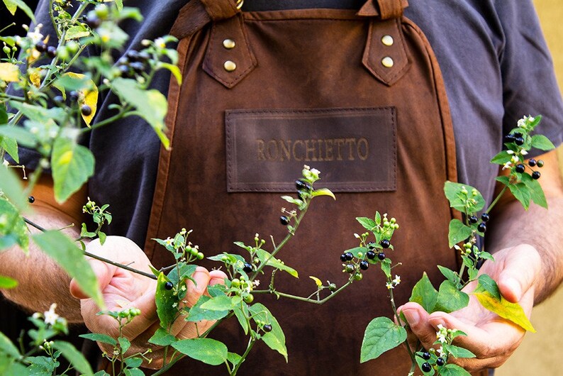May include: A person wearing a brown leather apron with the word "Ronchietto" embossed on it. The person is holding a branch of a plant with small green leaves and black berries.