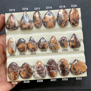 May include: A selection of polished gemstones in diverse shapes, such as teardrop, oval, and triangular. The stones display a blend of brown, copper, and white tones, with visible patterns. Each stone is labelled with a number.