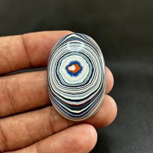 Cabochon Fordite coloré multicolore de qualité de qualité Fordite AAA, pierres précieuses en vrac pour la fabrication de pendentifs code-2746