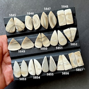 May include: A selection of polished stone cabochons in diverse shapes, such as teardrops, ovals, and rectangles. The stones are mainly cream and grey, featuring distinctive veining. Each pair is labelled with a number.