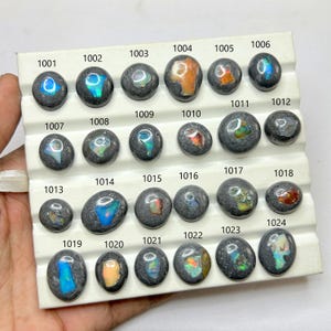 May include: A display of oval-shaped opal gemstones in various colors, including blue, orange, and green, set on a white display card. Each stone is numbered for identification. The opals have a dark gray matrix.