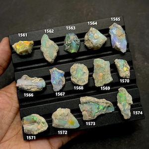 Peut inclure: Une collection de pierres d'opale brutes exposées sur un plateau noir. Les opales présentent une variété de couleurs, notamment des bleus, des verts, des jaunes et des oranges, avec des motifs internes visibles. Chaque pierre est numérotée.