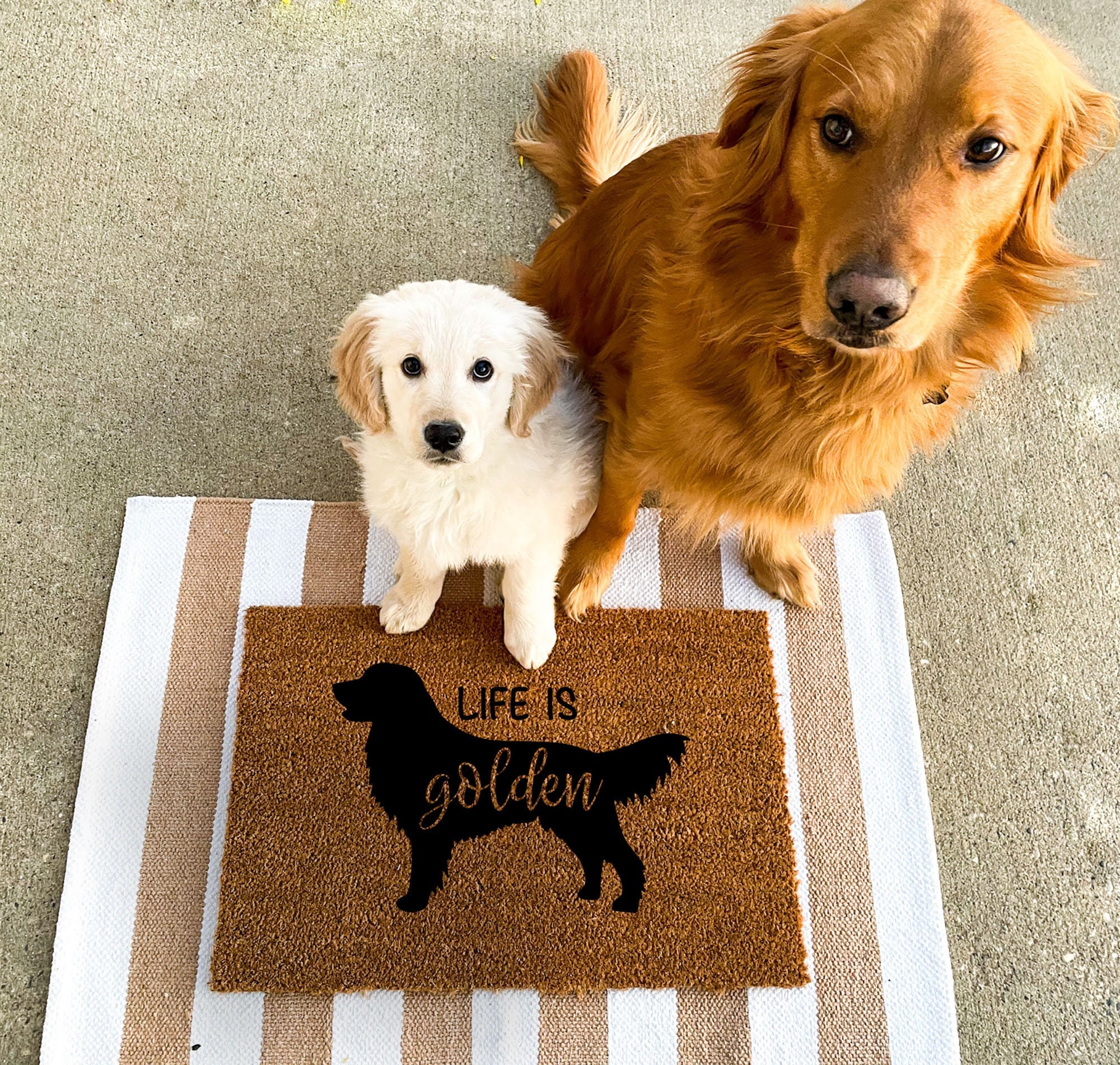 Dog Lovers Door Mat Golden Retriever A Lot Of Dogs Here – Koolezt