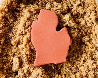 Michigan Mitten Brown Sugar Saver, Terracotta Sugar Saver, Food Saver, Brown Sugar Bear, Terracotta Brown Sugar Saver, Brown Sugar, Baking