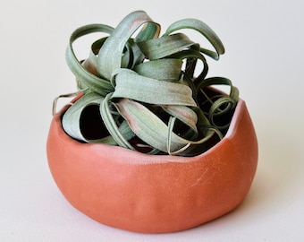 Terracotta Planter, ceramic plant pot, indoor planter