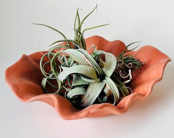 Terracotta Bowl, air plant holder, ceramic plant pot, indoor planter, sculptural planter, fruit bowl, ceramic bowl