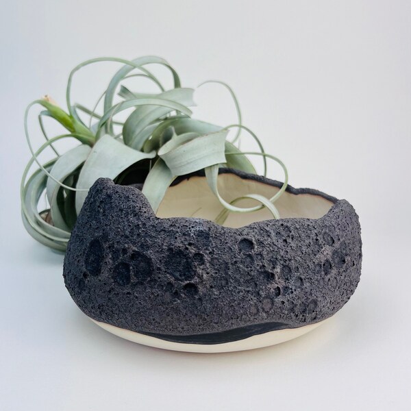 Rock Planter - Etsy