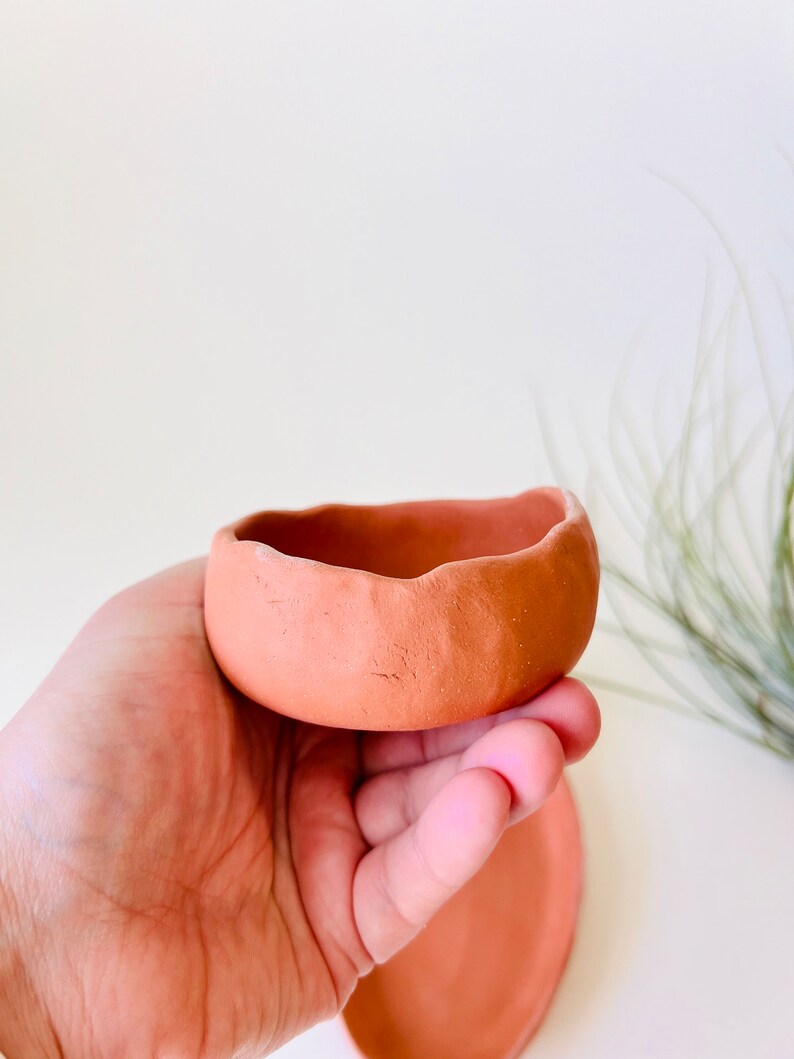 Tiny Terracotta Planter Set, ceramic plant pot, indoor planter image 8