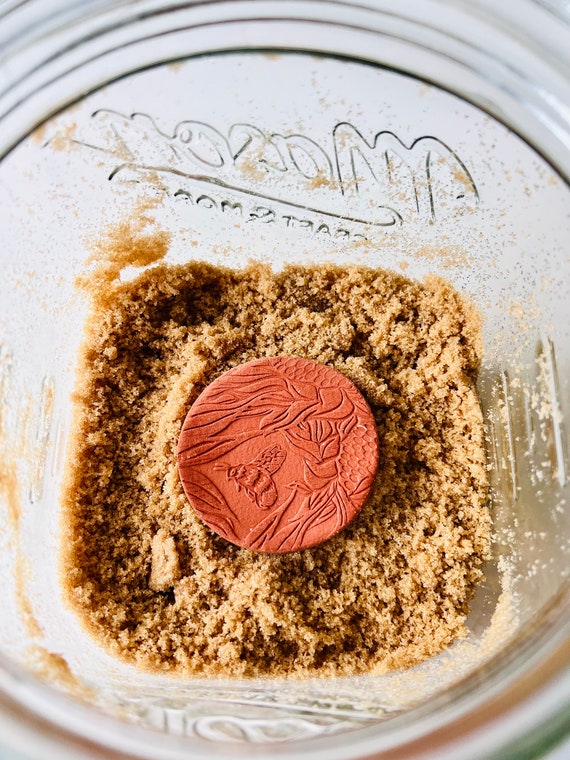 Terracotta Brown Sugar Saver