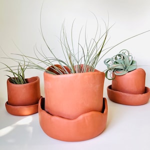 Organic 5” Terracotta Planter with Drain Tray, MADE TO ORDER, planter, pot, indoor planter, garden
