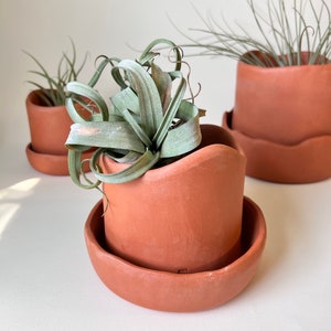 3 "Organic Terrakotta Pflanzgefäß mit Drainage MADE TO ORDER, Pflanze, Pflanzer für drinnen, draußen, Keramiktopf, Keramiktopf
