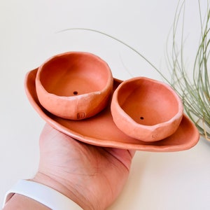 Tiny Terracotta Planter Set, ceramic plant pot, indoor planter image 3