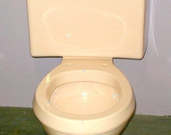 pink peach toilet American Standard oval bowl rare color