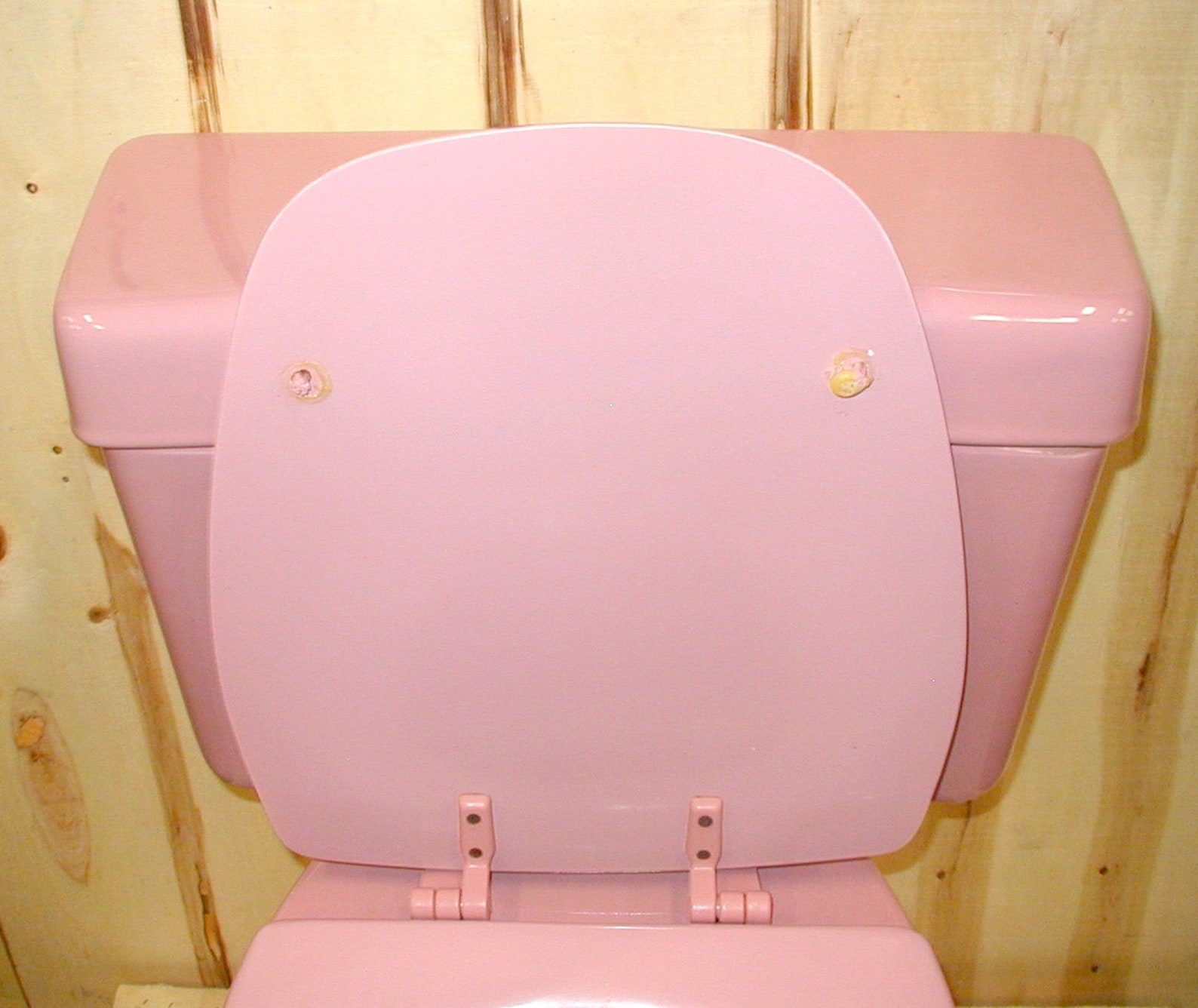 Eljer Rose Pink Toilet Vintage TwoPiece Style with Etsy