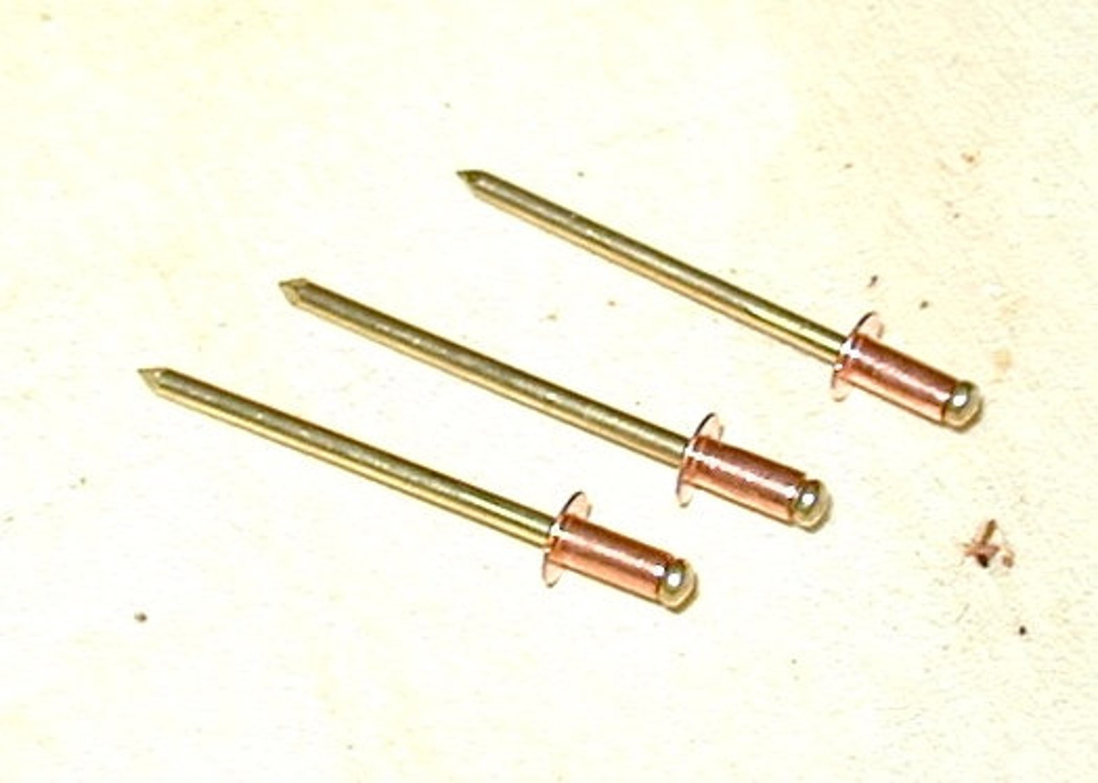 Box of 100 Solid Copper Pop Rivets 1/8 Diameter, 1/8 Grip Length Etsy