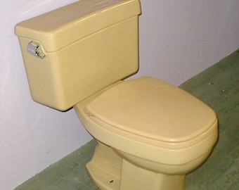 Beige light brown coffee color toilet vintage bathroom