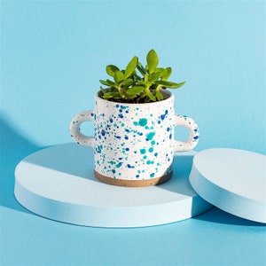 May include: A white ceramic planter with blue and green speckles and two handles. The planter is filled with a small green succulent plant.