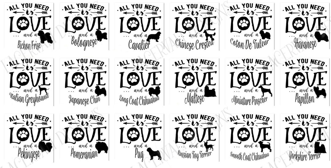 Berkley Fishing Pack - Komplettset Für Egerköder-Angeln Auf Raubfisch