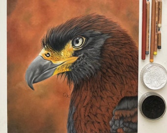 Original-Adlerzeichnung, Vogelzeichnung, Trockenpastell, Tierporträt, einzigartiges Werk, handsigniert, Königsadler, realistische Malerei
