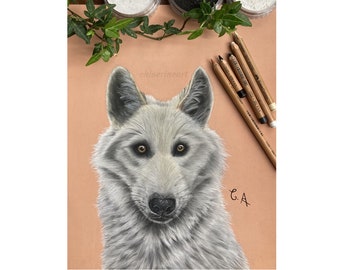 Dibujo original lobo gris y blanco, retrato animal, pastel seco, hecho a mano, modelo único, obra firmada