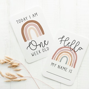 Cartes jalons arc-en-ciel neutres . Cartes d'étape de bébé. Cartes du mois de bébé. Cartes d'étape . Bohème. Arc-en-ciel neutre. Téléchargement numérique