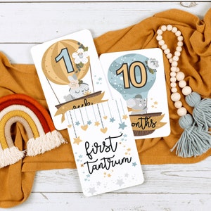 Cartes du mois de bébé. Cartes d'étape non genrées . Cartes d'étape de bébé. Cartes d'étape de bébé imprimables. Pépinière Montgolfière