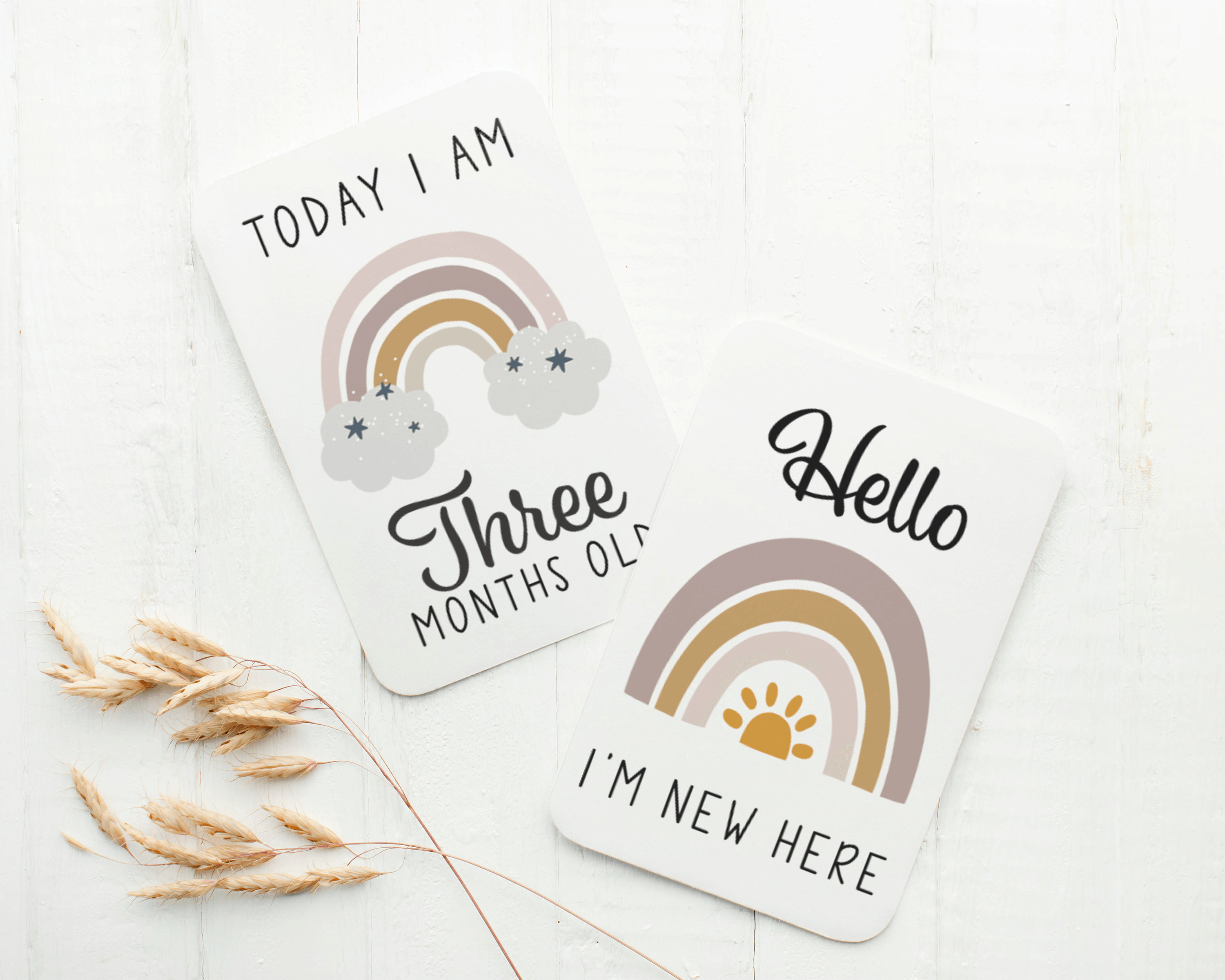 Neutral Rainbow Milestone Cards . Baby Milestone Cards . Baby Month ...