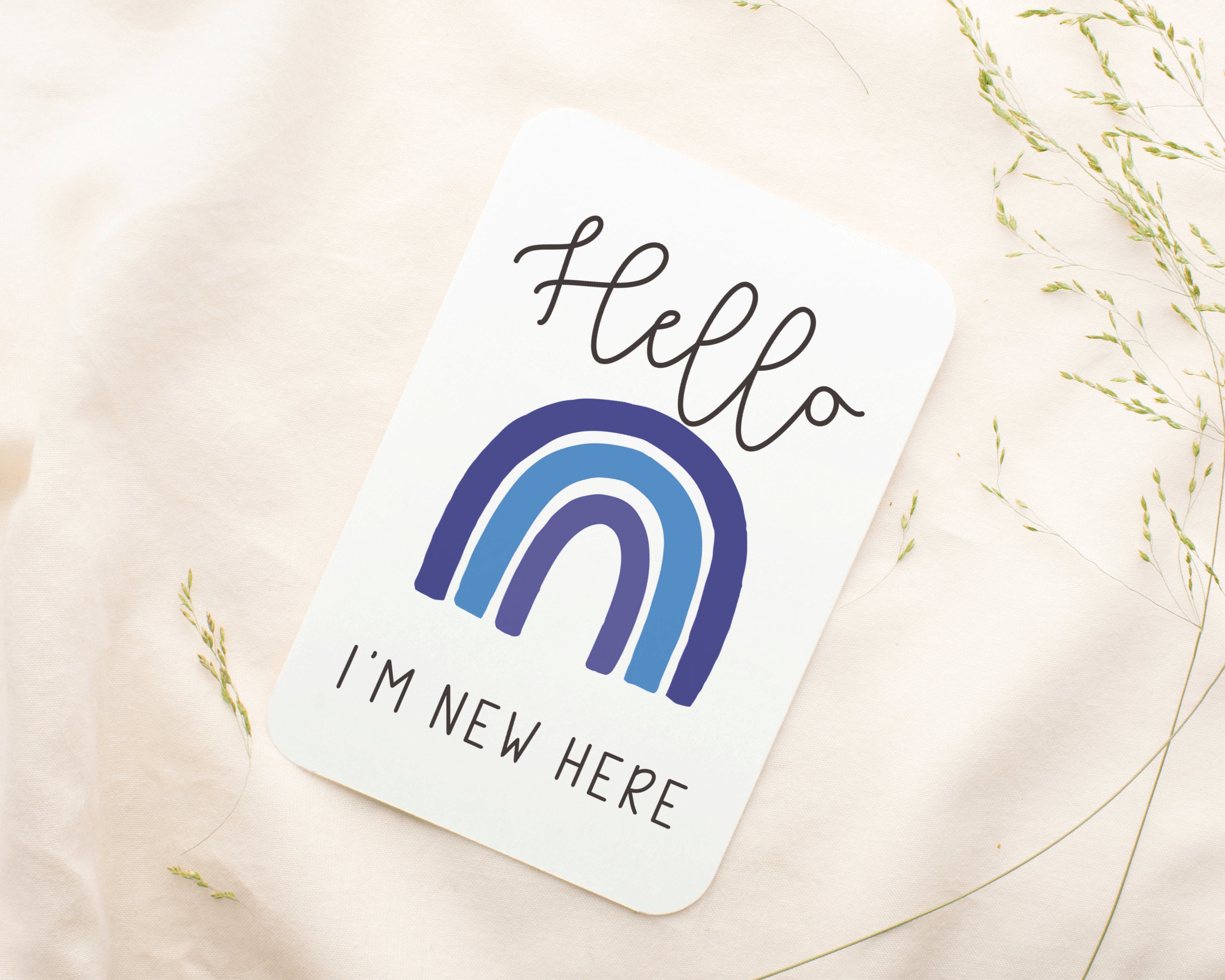 Blue Rainbow Milestone Cards . Baby Milestone Cards . Baby Month Cards ...