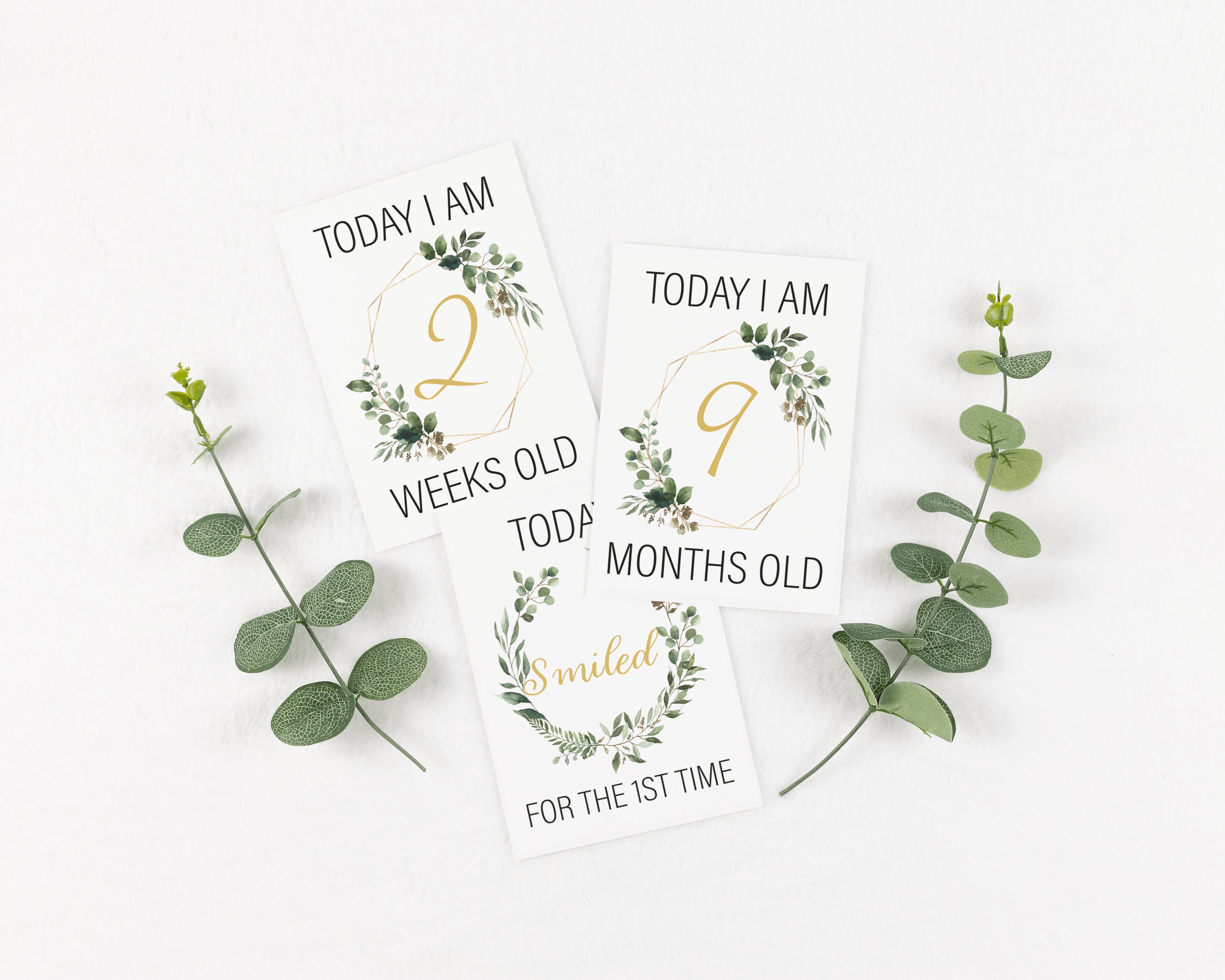 Botanical Wreath Milestone Cards . Baby Milestone Cards . Baby Month ...