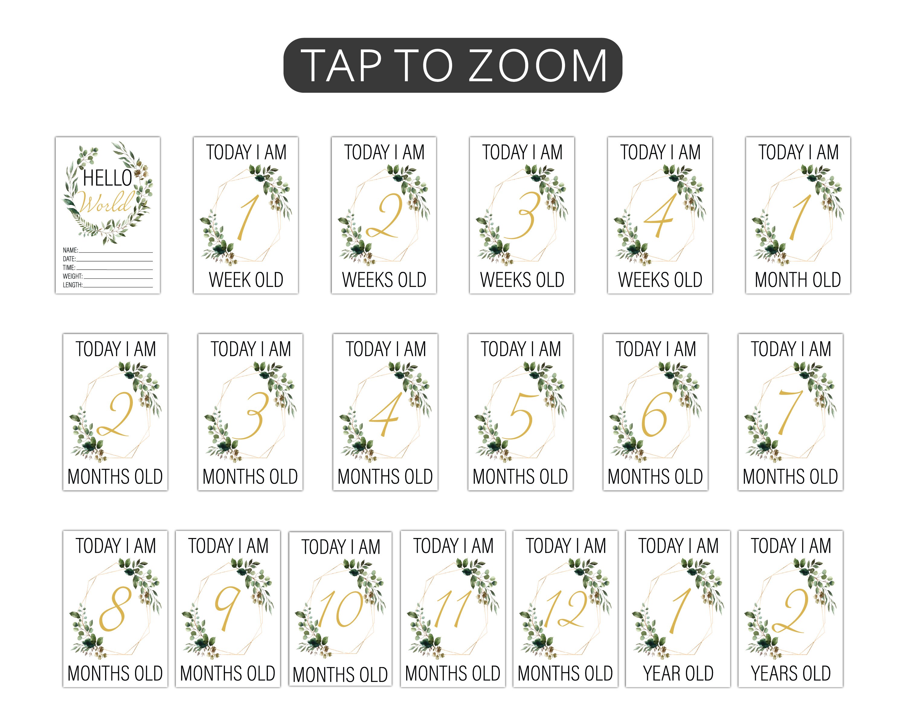 Botanical Wreath Milestone Cards . Baby Milestone Cards . Baby Month ...