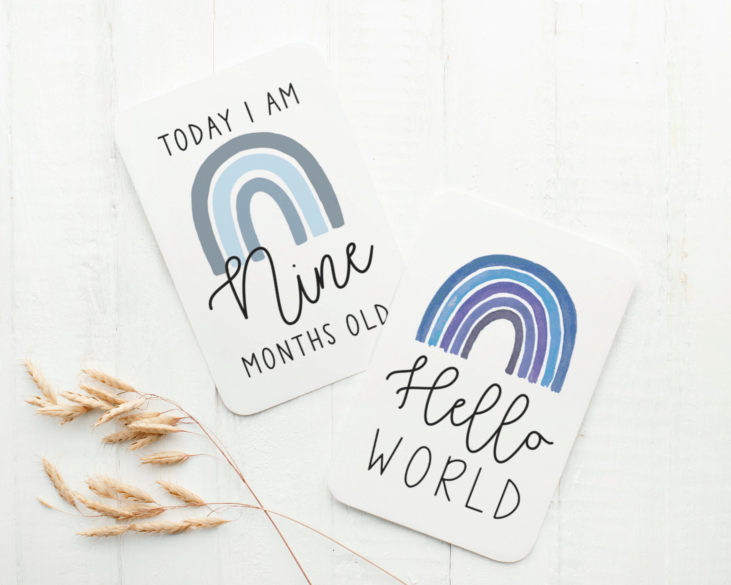 Blue Rainbow Milestone Cards . Baby Milestone Cards . Baby Month Cards ...