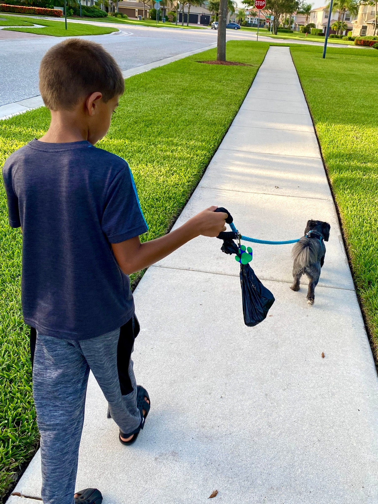 Hands free dog poop bag holder. Full dog waste bag carrier. Etsy