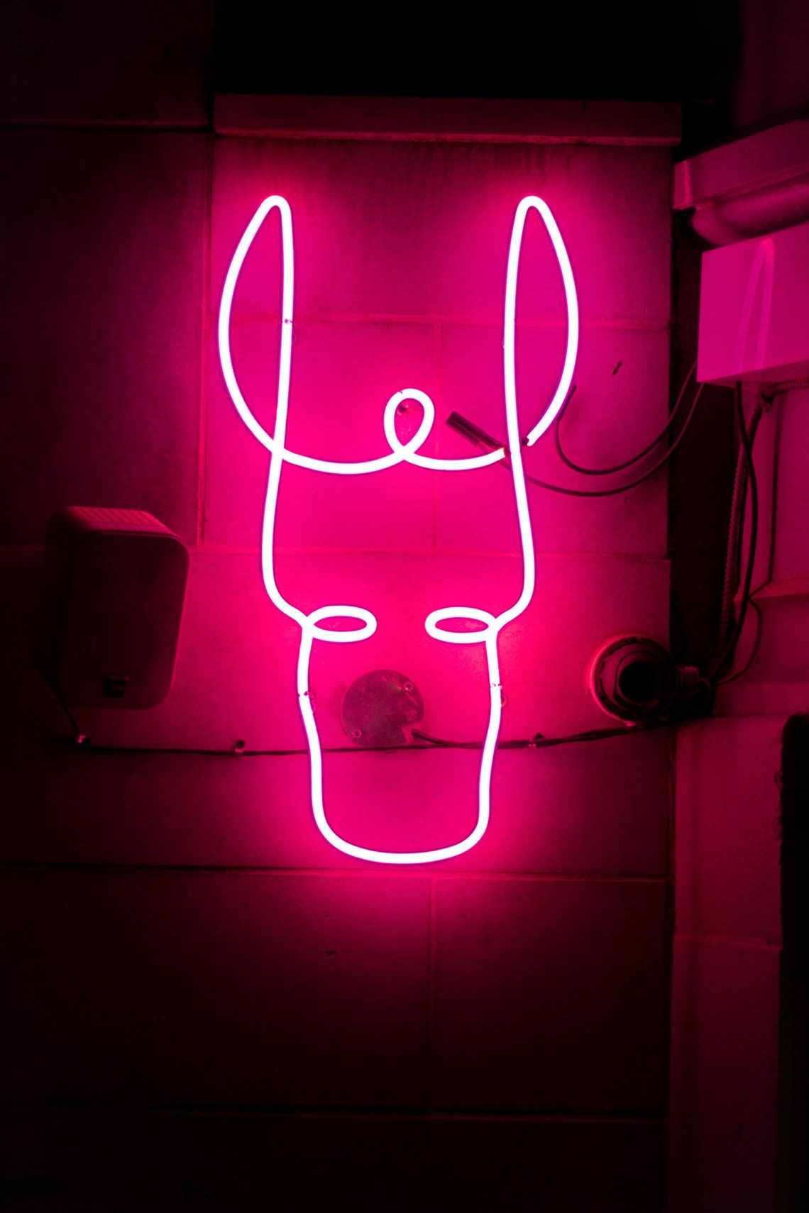 Big Neon Wall Collage Kit Photo Collage Room Decor Colorful Etsy