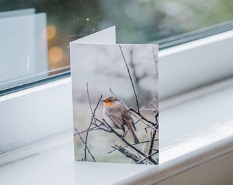 Round Robins - Set of 5 Christmas Cards.