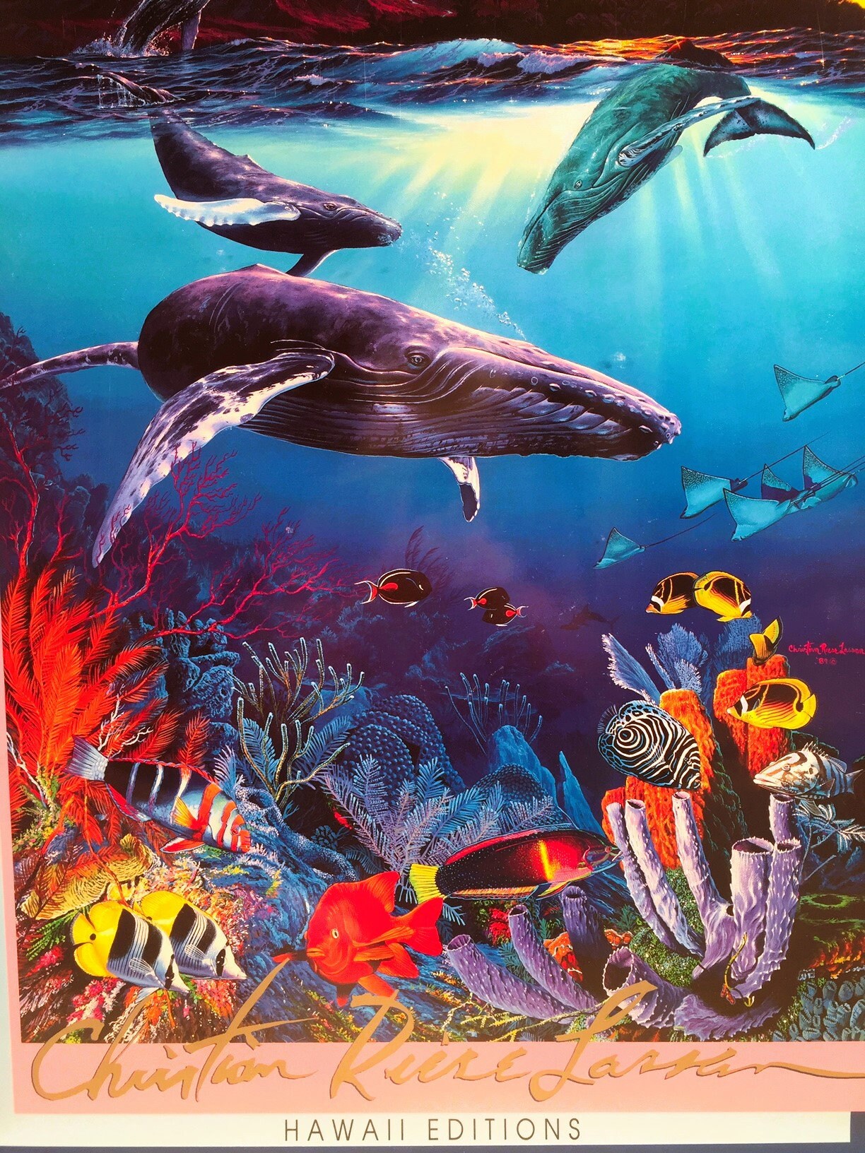 Marin Art Work by Christian Lassen 1989, Heavy Stock Paper, 24