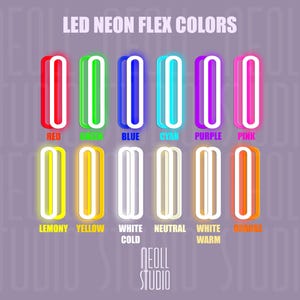 Letrero de neón de loro, lámpara de pared LED con forma de pájaro, decoración tropical para habitaciones, pájaros divertidos con gafas de sol, arte de pared de neón colorido, regalo para amantes de las aves. Custom color