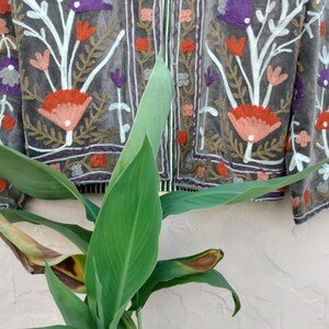 May include: A grey jacket with floral embroidery in shades of orange, purple, and pink. The jacket features a detailed design with white stems and leaves. The jacket is displayed against a white textured wall.