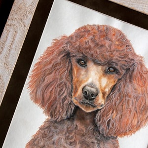 K&ouml;nnte beinhalten: Ein Aquarellbild eines braunen Pudels mit lockigem Fell. Der Hund schaut den Betrachter mit einem ernsten Ausdruck direkt an.