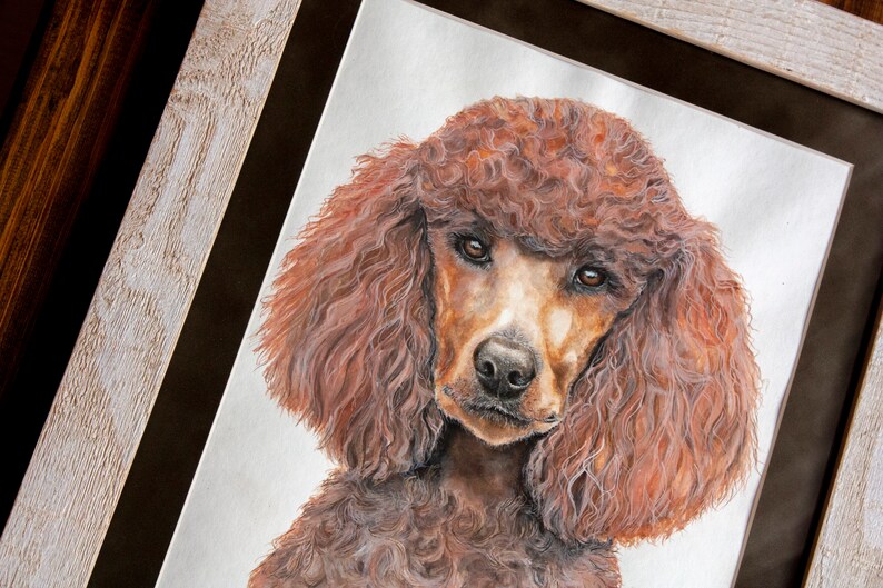 K&ouml;nnte beinhalten: Ein Aquarellbild eines braunen Pudels mit lockigem Fell. Der Hund schaut den Betrachter mit einem ernsten Ausdruck direkt an.
