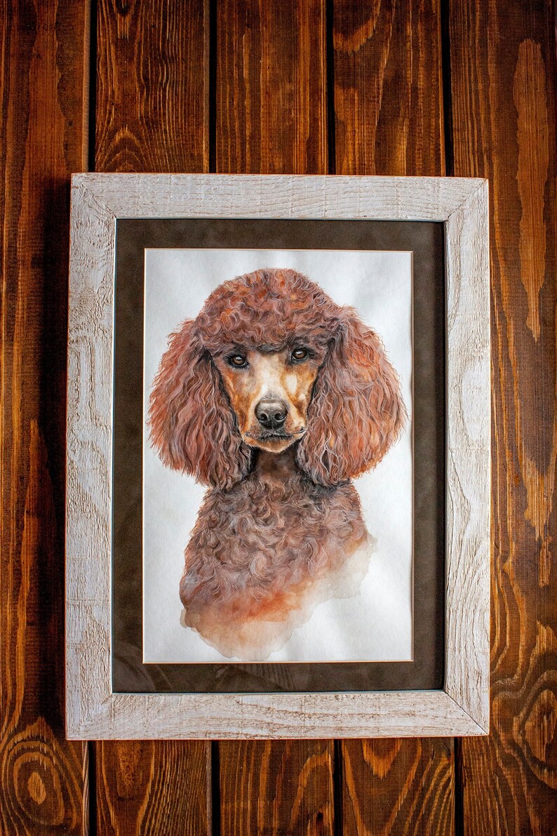 K&ouml;nnte beinhalten: Ein gerahmtes Aquarellbild eines braunen Pudels mit lockigem Fell. Der Hund schaut den Betrachter mit einem ernsten Ausdruck direkt an.
