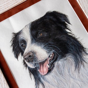 Border Collie Dog - Original Watercolor Painting