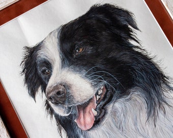 Border Collie Hund - Original Aquarellmalerei