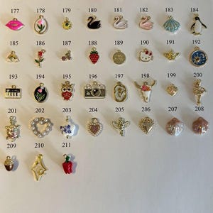 May include: Assortment of 211 colorful enamel charms, including animals, food, and other cute designs. The charms are arranged in rows on a white background.