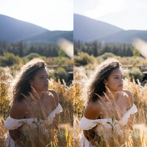 May include: A woman wearing an off-the-shoulder white dress sits in a field of tall, golden grass. The background features mountains and trees under a bright, sunny sky. The dress has ruffled sleeves.