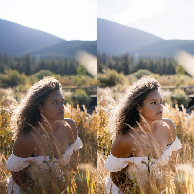 May include: A woman wearing an off-the-shoulder white dress sits in a field of tall, golden grass. The background features mountains and trees under a bright, sunny sky. The dress has ruffled sleeves.