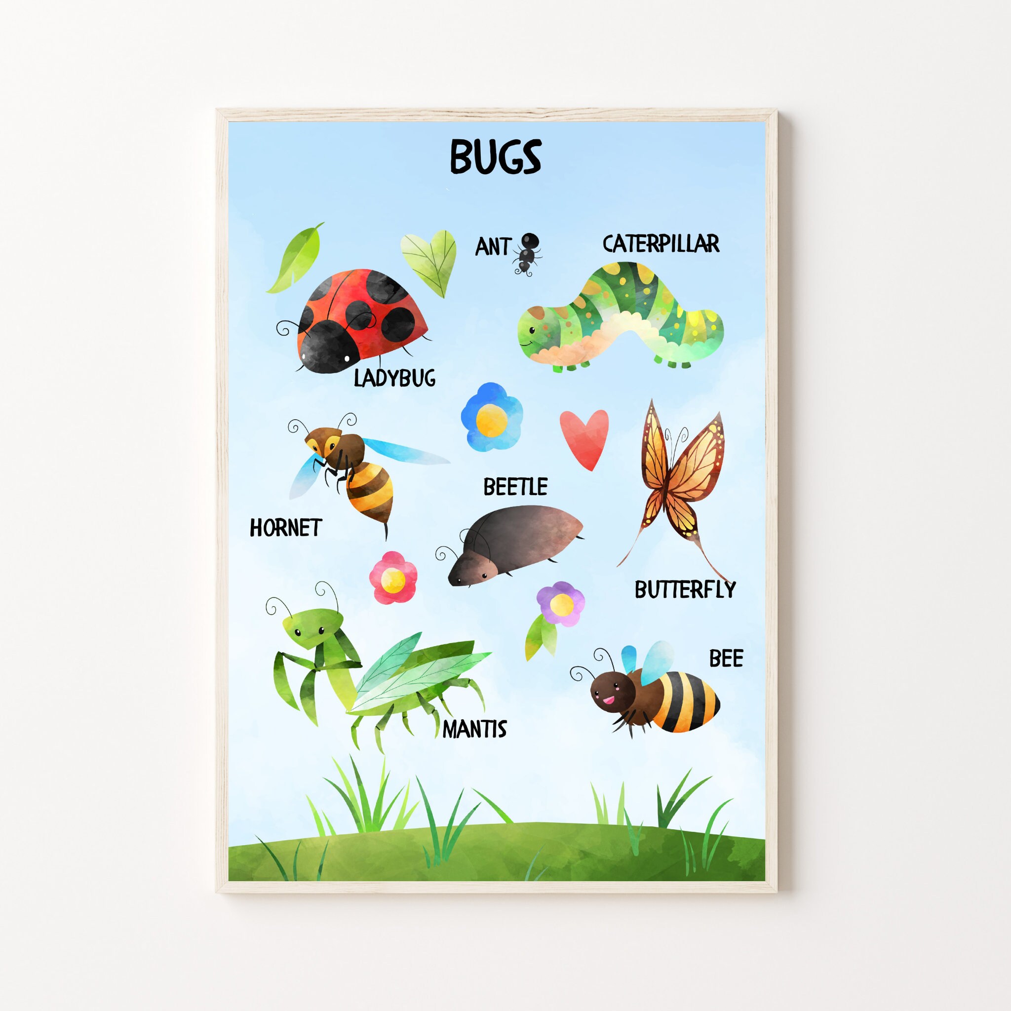 Printable Bug Poster Educational Poster Kids Room Decor Etsy
